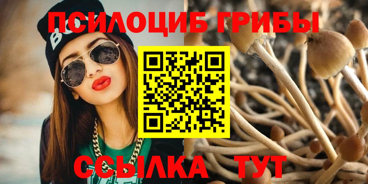 Псилоцибиновые грибы прущие грибы Владимир