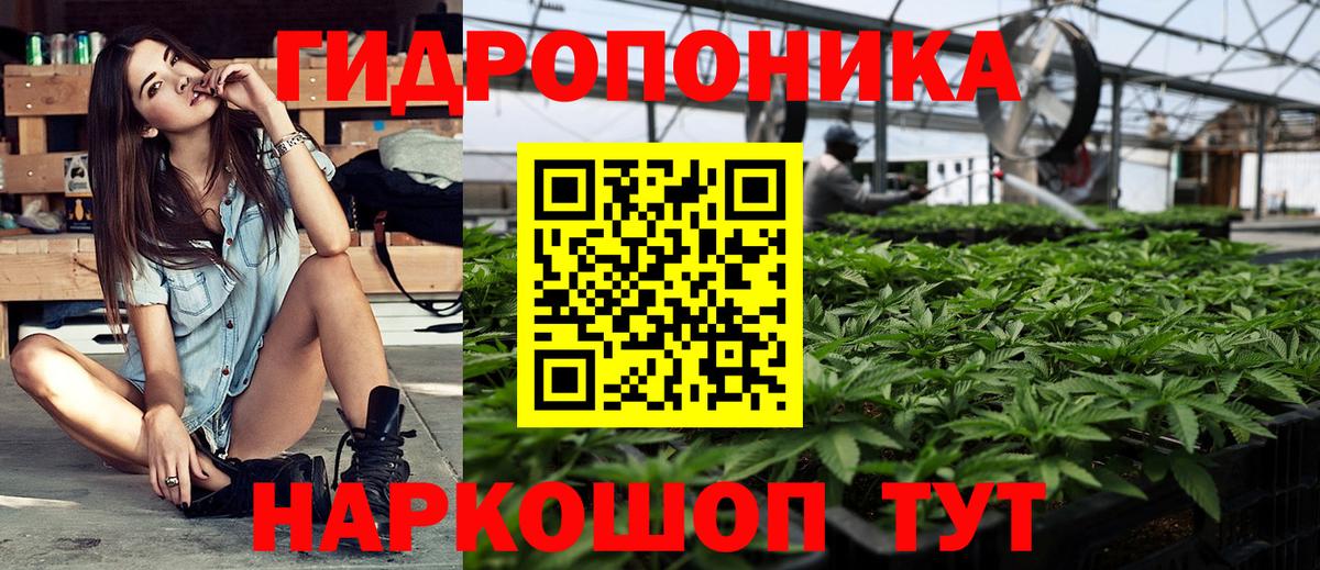 Конопля ГИДРОПОН Владимир